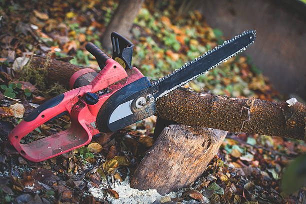 Best Seasonal Cleanup (Spring/Fall)  in , UT